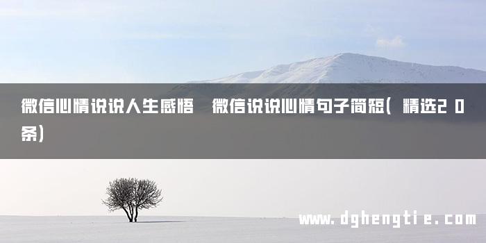 微信心情说说人生感悟 微信说说心情句子简短（精选20条）